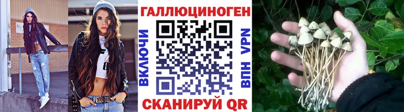 кракен онион  Тетюши  Галлюциногенные грибы GOLDEN TEACHER 